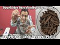 Pipli Kin Kin Bimaariyon Mein Faaydemand | Benefits Of Long Pepper (Pipli)