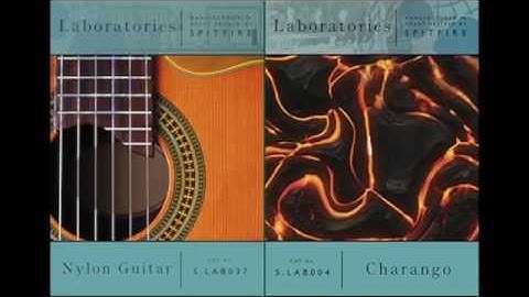 Spitfire Labs - Charango & Nylon Guitar - Audio Demo