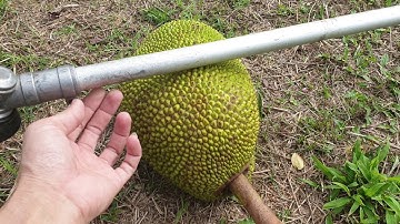 Giới thiệu máy cắt cỏ Kioritz SRC 315 Nhật bãi bền đẹp và rẻ - MongCaiGreen