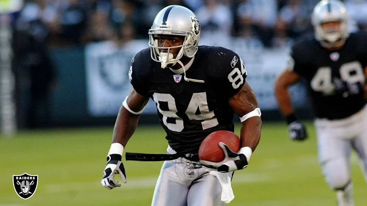 Every Jerry Porter Touchdown | Jerry Porter Highli...