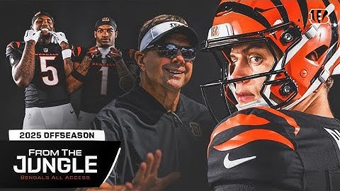 From The Jungle: 2025 Offseason