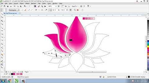 Mesh Fill công cụ tô màu hoa sen
