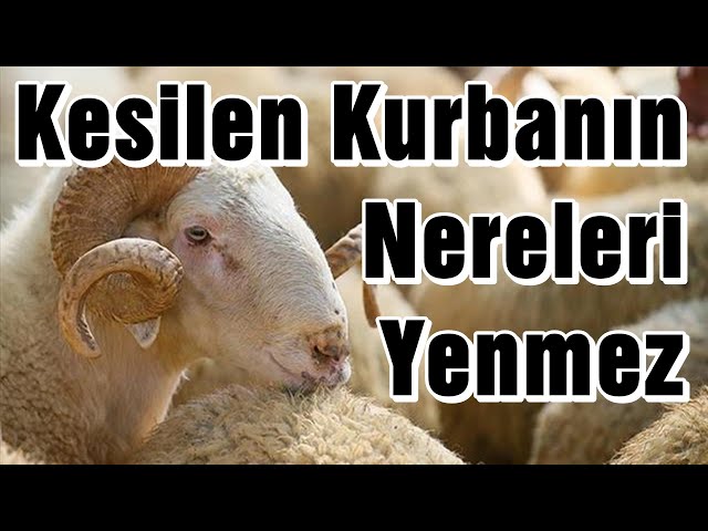 KESİLEN KURBANIN NERELERİ YENMEZ ? | Vaiz Ali ÖZDEMİR