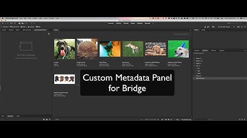 Custom Metadata Panel for Bridge
