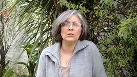 Patrulla de Rescate II