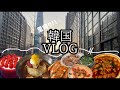 [한국VLOG] 연말연시 부산 생활, 먹고 먹고 먹는 일상...🐷