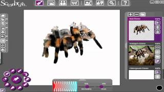 Thalyndra malt eine Spinne