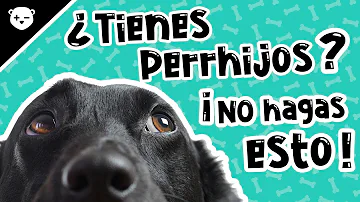 ¿Por qué mi hijo de 8 años se comporta como un perro?