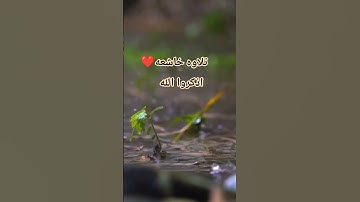 تلاوه خاشعه #قران_كريم