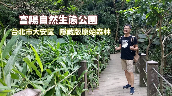 富陽自然生態公園森林步道，沒想到在台北市大安區隱藏一座原始森林！就在捷運麟光站步行五分鐘即可到達 - 天天要聞