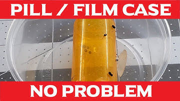 Dart Frog Egg Care Basics with Guaranteed Results - Egg Wash - Film And Pill Case