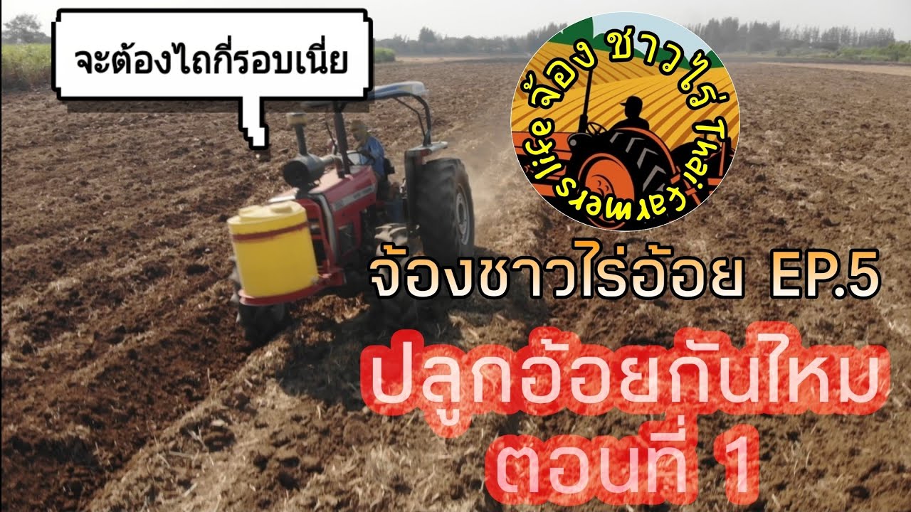 ปลูกอ้อยกันไหม ตอนที่ 1 (เตรียมแปลงปลูก)