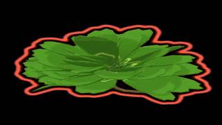 57 Leaf Clover Expirience