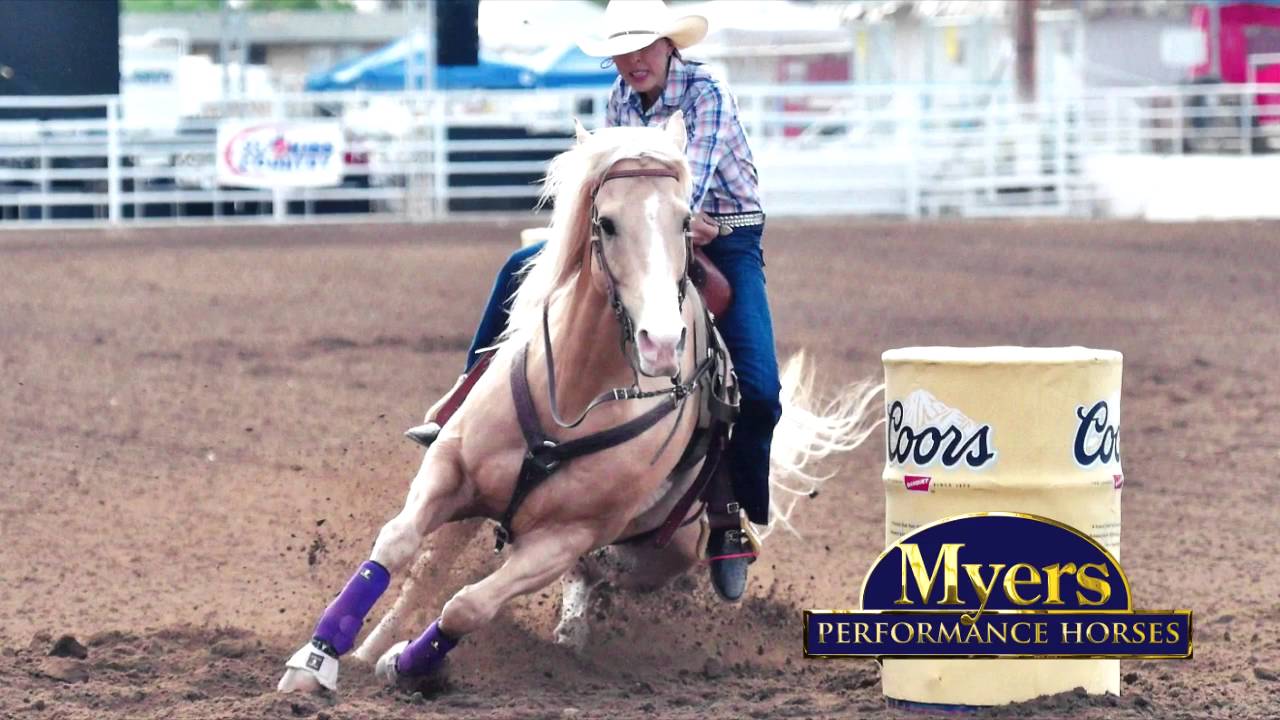 frenchmans guy ad myers performance horses YouTube