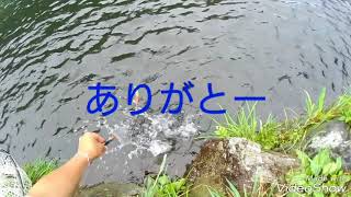 2018.9.9浅川国際鱒釣り場3