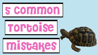 5 Common Mistakes Tortoise Owners Make