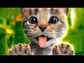 My Little Cat cartoon game for little kids #mimimishka let's play cartoon new series 2018