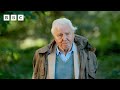 Sir David Attenborough welcomes us all to #TheEarthshotPrize2023 - BBC