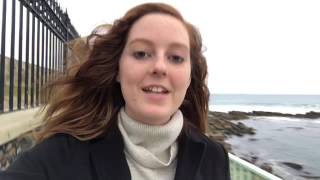 IMG 3008