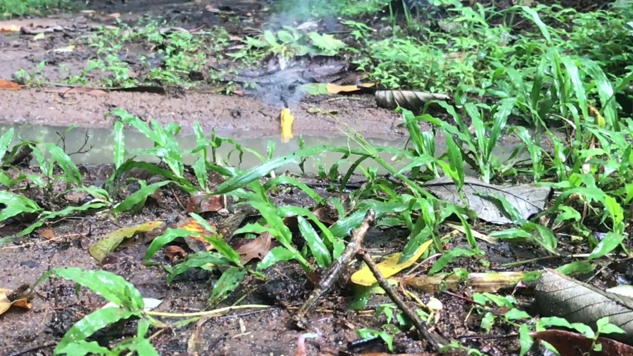 Epic Water Explosion! Firecracker in Pond Creates Massive Splash