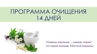 Ольга Колтунова Детокс программа Ольга Колтунова Детокс программа