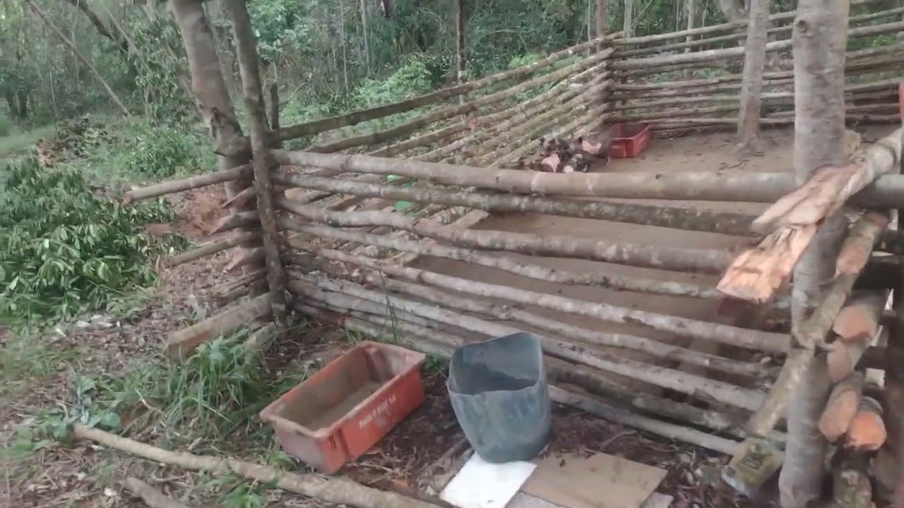 como fazer um chiqueiro pra porco sem gastar dinheiro 💸