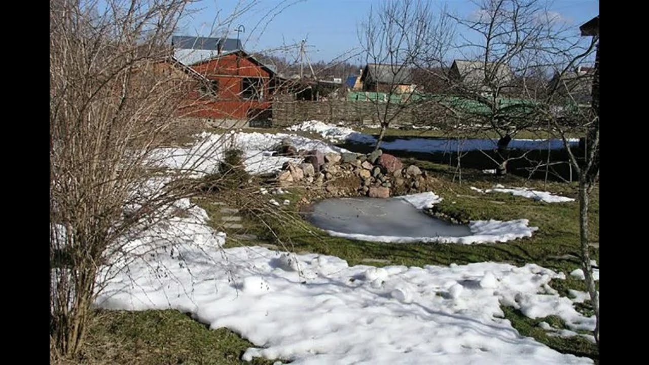 Что делать на даче после зимы. Сад в апреле. Дачный участок весной.