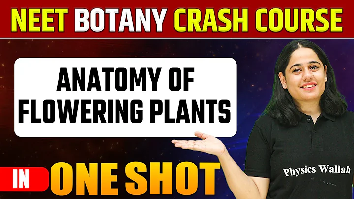 ANATOMY OF FLOWERING PLANTS  in 1 Shot | Pure English | Everything Covered | NEET Crash Course