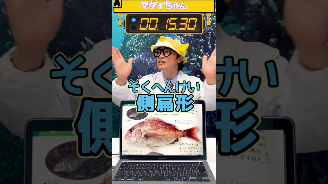 55秒チャレンジ】サカナキネーター「マダイちゃん」 - YouTube