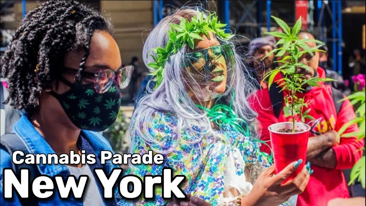 4 May 2024 𝐂𝐚𝐧𝐧𝐚𝐛𝐢𝐬 𝐏𝐚𝐫𝐚𝐝𝐞 | Broadway Manhattan NewYork 🇺🇸