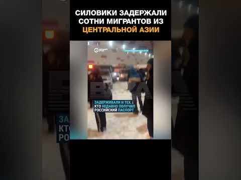Силовики задержали сотни мигрантов после рейда на складе Wildberries в Подмосковье