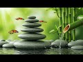 Calm Your Mind: Rain on Leaves &amp; Gentle Waterfall Sounds for Stress Relief 🌿 #relax #calm  #sleep