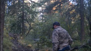 ‘Dogman’ Photos And Numerous New Witnesses