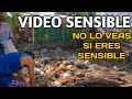 Intentaron Atentar Con Nuestras Vidas - El Salvador Increíble