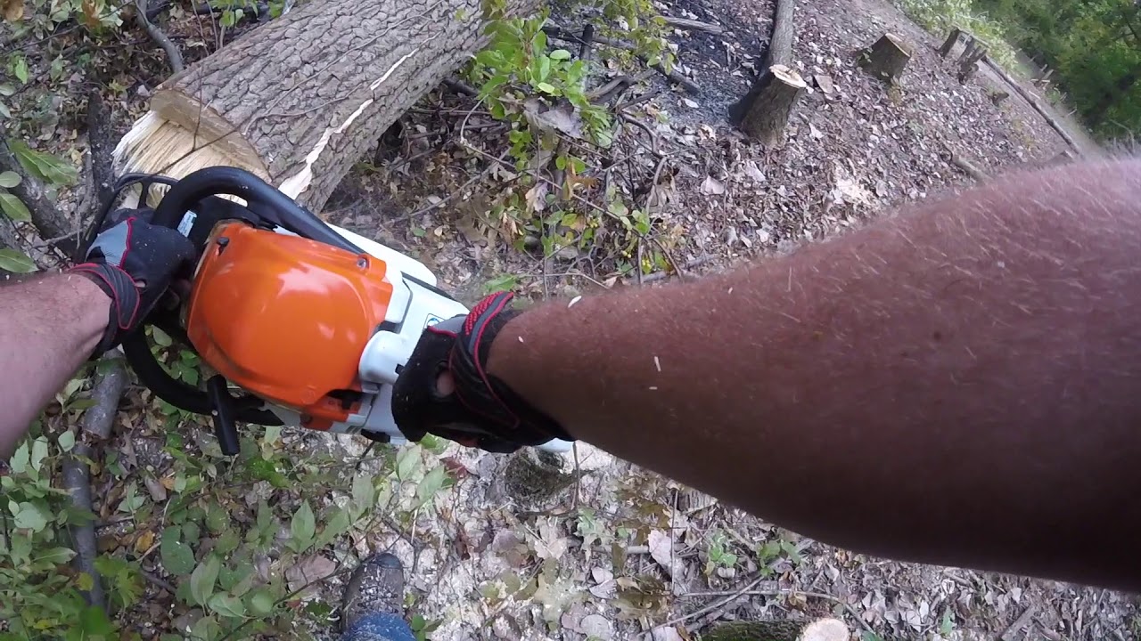 TREE CLEARING - For New House - STIHL MS391 - YouTube