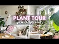 Plant tour printemps 2023  70 plantes dans 42m2 