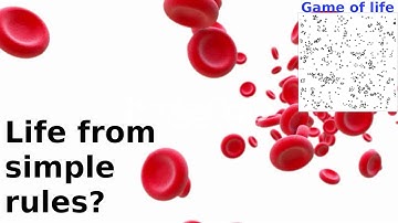 What is...a cellular automaton?