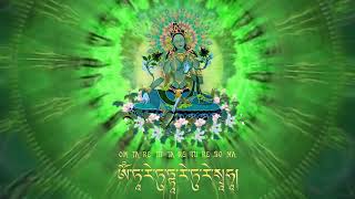 Thần Chú Lục Độ Phật Mẫu Green Tara Goddess 救度母 Green Tara Mantra Om Tare Tuttare Ture Svaha