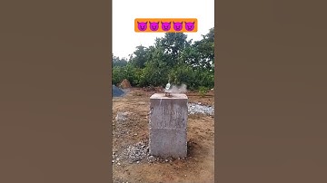 Slow motion and reverse video #slowmotion #shorts