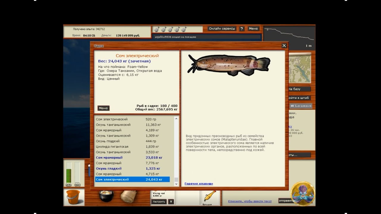 Русская рыбалка слава петуху. Побережье Танзании рр3. Фото и описание электрический сом из игры русская рыбалка 3.