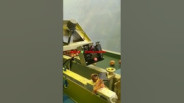 Apple grading machine #number  1 Apple grading machine#Prakash painter gobindgarh 73073-13213