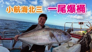 【海釣船釣魚】一尾就爆桶的感覺原來這麼爽！爽袂退！爽袂退！爽袂退！