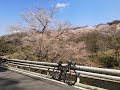 【自転車】猪名川沿いの道　北摂サイクリスト御用達　ロードバイク