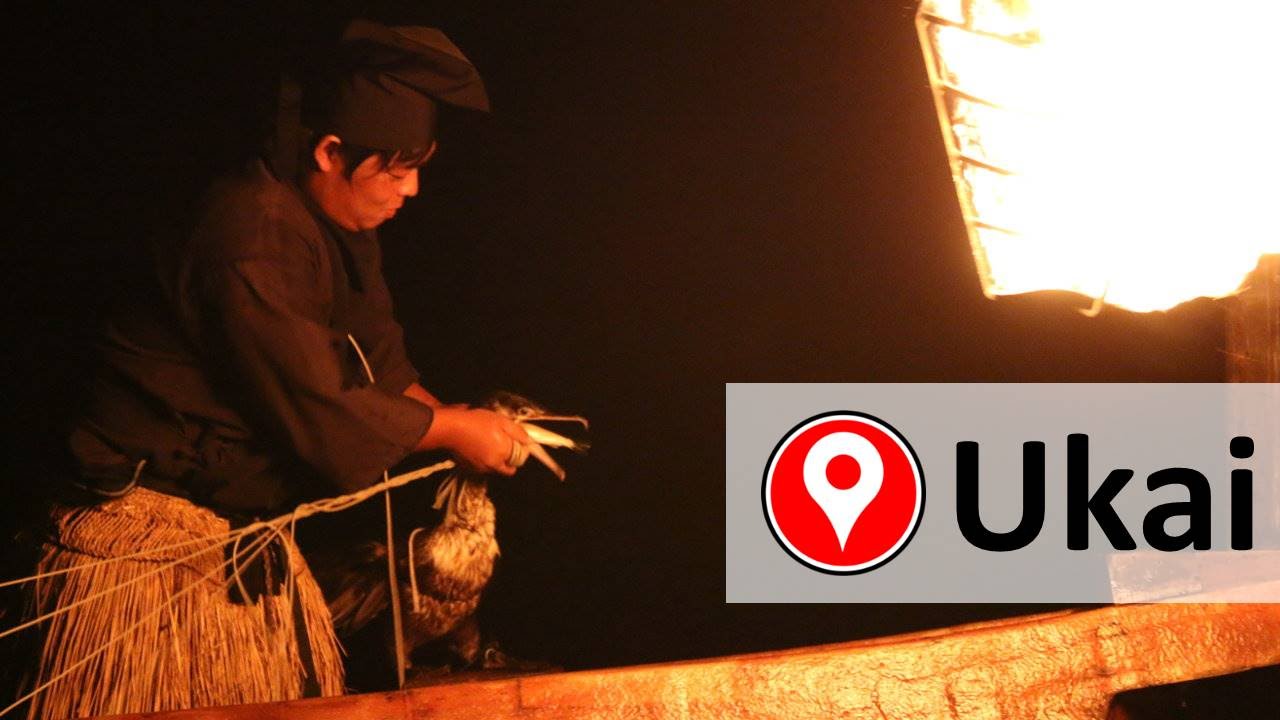 UKAI PECHE CORMORAN ARASHIYAMA KYOTO 鵜飼 嵐山 FAIT AU JAPON 