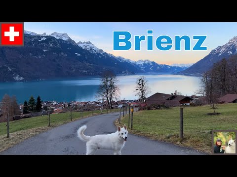 Brienz Switzerland walking