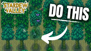 How to Prep for the NEW Festivals in Stardew Valley 1.6