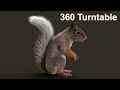 Brown squirrel 360 turntable | CG Creature artist #stynsour