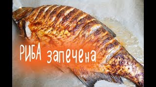 Запечені лящ і скумбрія. Бюджетно і легко! | Рыба запеченная Запечені лящ і скумбрія. Бюджетно і легко! | Рыба запеченная