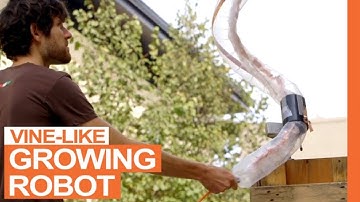 Soft Robotic Growing Vine-Like Plant