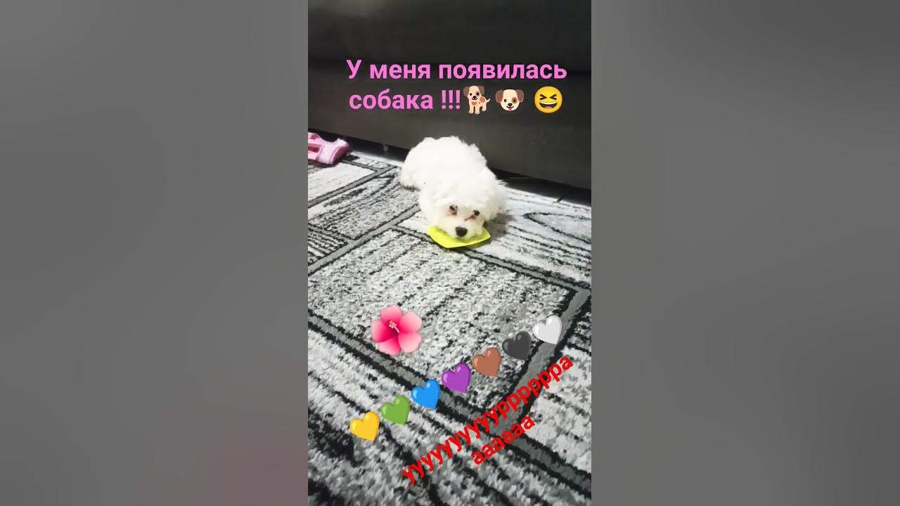 ура - YouTube